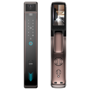 K30 Face Version Smart Door Lock