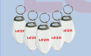PV01MF Keychain IC Card